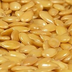podseed.org